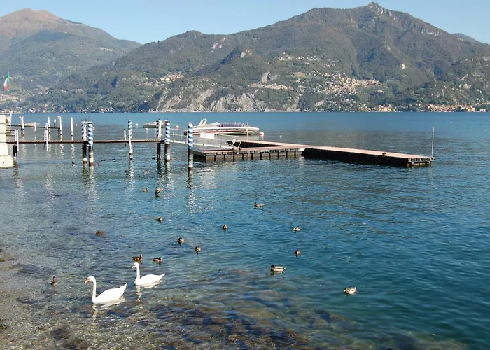 Lovely Loft & Flat *